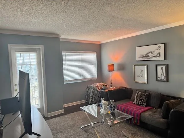 Living room with a textured ceiling and ornamental molding