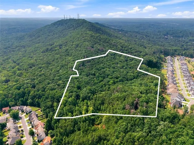 Expansive wooded acreage featuring diverse tree coverage. lot lines are approximate.