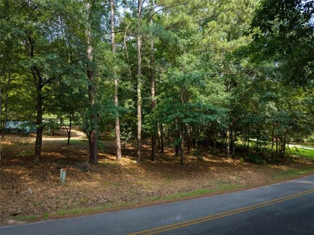 220 Flamingo Drive, Monticello, Georgia 31064