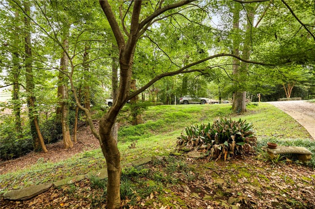 6394 Cherry Tree Lane, Sandy Springs, Georgia 30328, 4 Bedrooms Bedrooms, ,2 BathroomsBathrooms,Residential,Sold,6394 Cherry Tree Lane,7277043