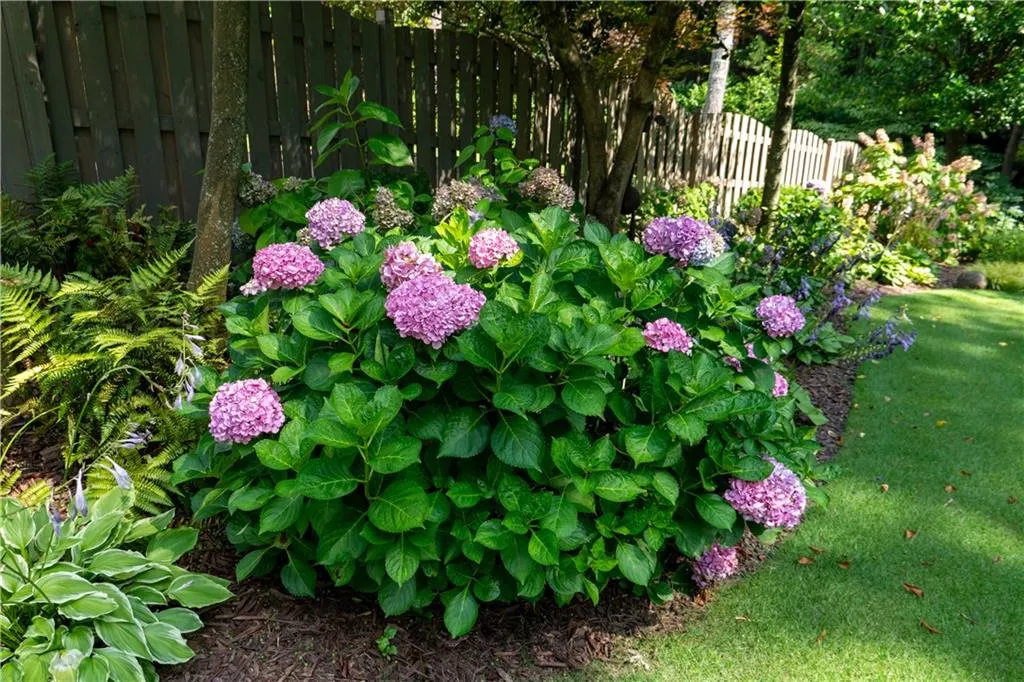 Professionally landscaped front & back yard.