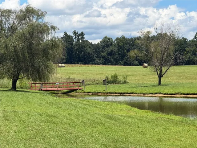 Pastoral acreage featuring expansive manicured grounds with mature weeping willow and shade trees, a tranquil pond with rustic wooden dock access, and open meadowland bordered by tree line