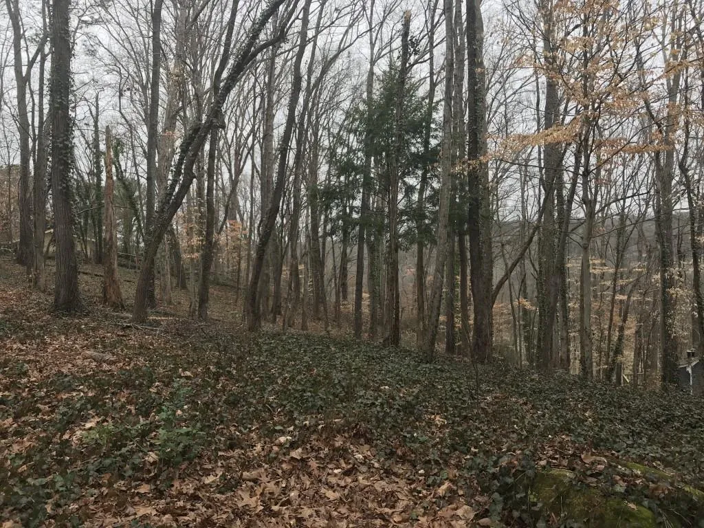 55 Serendipity Way, Sandy Springs, Georgia 30350, ,Land,Sold,55 Serendipity Way,5967684