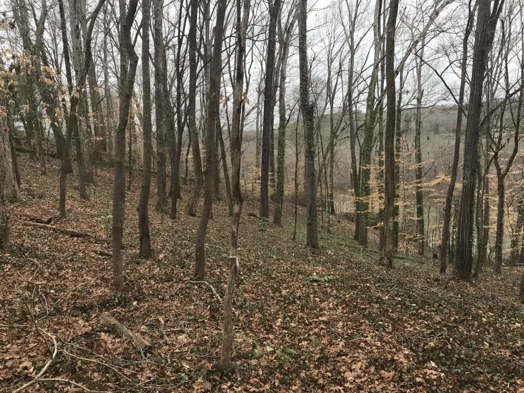 55 Serendipity Way, Sandy Springs, Georgia 30350, ,Land,Sold,55 Serendipity Way,5967684