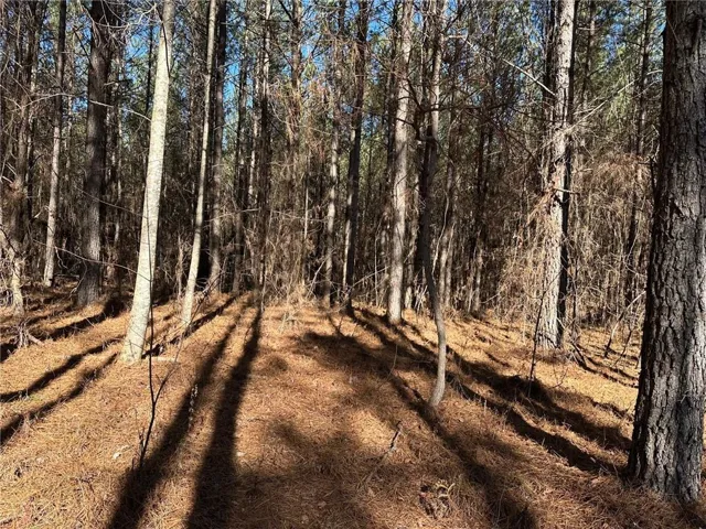 1107 Larmon Forks Road, Dahlonega, Georgia 30533