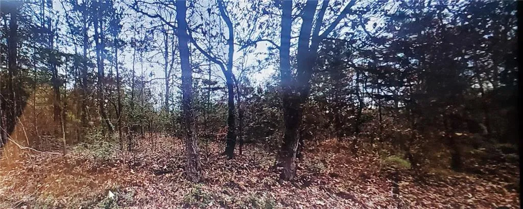 View of nature