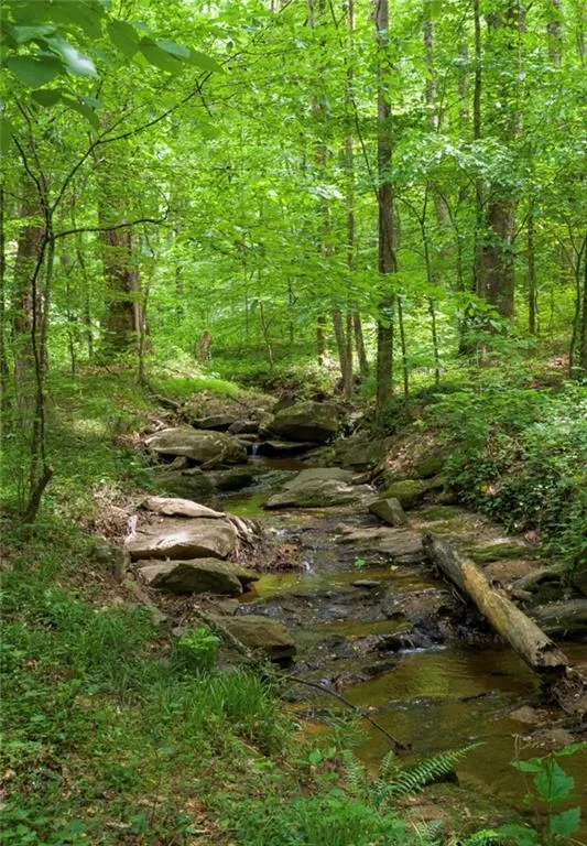 Lost Corner Preserve
