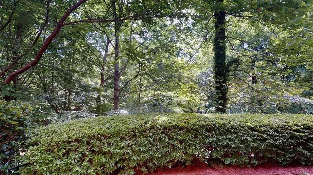 4585 Peachtree Dunwoody Road, Sandy Springs, Georgia 30342, 5 Bedrooms Bedrooms, ,4 BathroomsBathrooms,Residential,Sold,4585 Peachtree Dunwoody Road,6878417