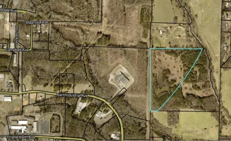 460 Sally Ann Circle, Bowdon, Georgia 30108