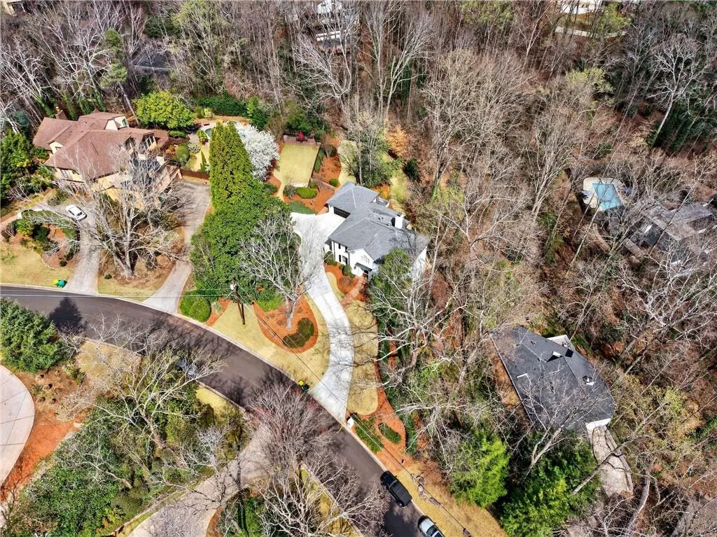 Aerial perspective of the neighborhood.