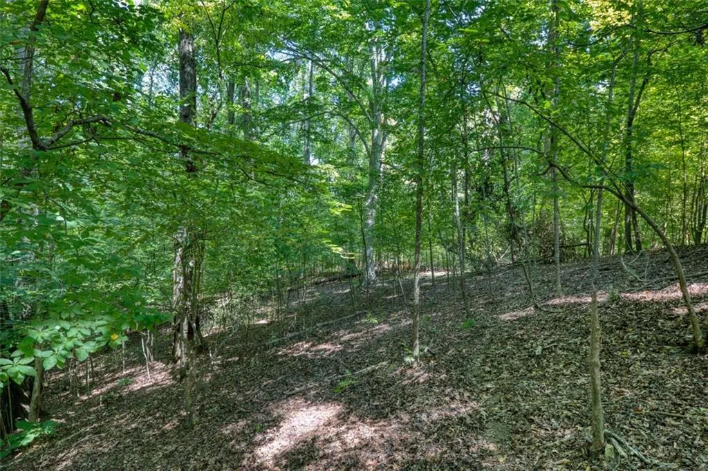 8180 Jett Ferry Road, Sandy Springs, Georgia 30350, ,Land,Sold,8180 Jett Ferry Road,6910455