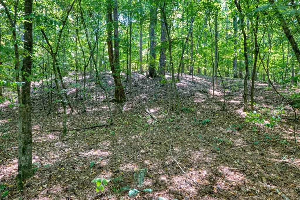 8180 Jett Ferry Road, Sandy Springs, Georgia 30350, ,Land,Sold,8180 Jett Ferry Road,6910455