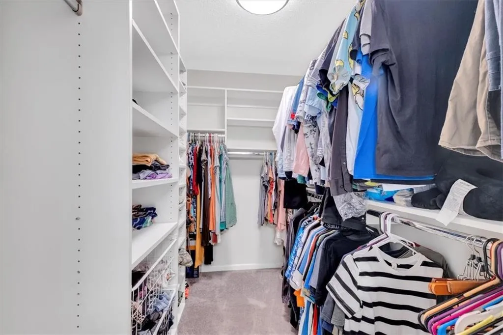 Walk in closet with carpet floors