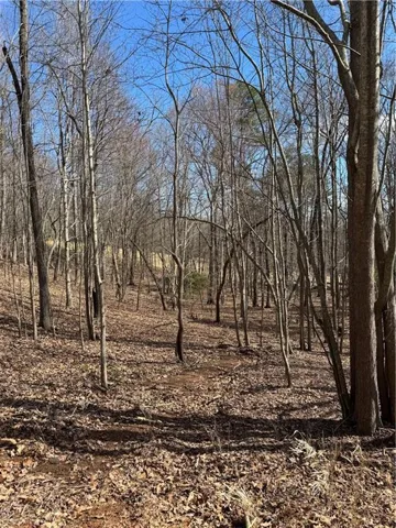 2526 Turnbury Lane, Big Canoe, Georgia 30143
