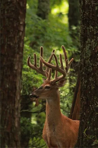 1170