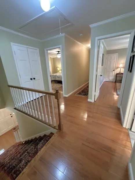 7635 Nesbit Ferry Road, Sandy Springs, Georgia 30350, 5 Bedrooms Bedrooms, ,4 BathroomsBathrooms,Residential,For Sale,7635 Nesbit Ferry Road,7752819