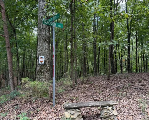 Lot 10 Mayfield Lane, Ranger, Georgia 30734