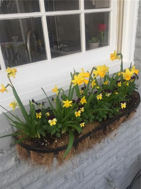 6578 Cherry Tree Lane, Atlanta, Georgia 30328, 4 Bedrooms Bedrooms, ,2 BathroomsBathrooms,Residential,Sold,6578 Cherry Tree Lane,5831131