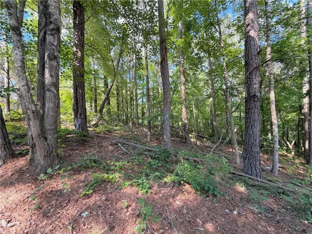 1306 Southgate Drive, Villa Rica, Georgia 30180