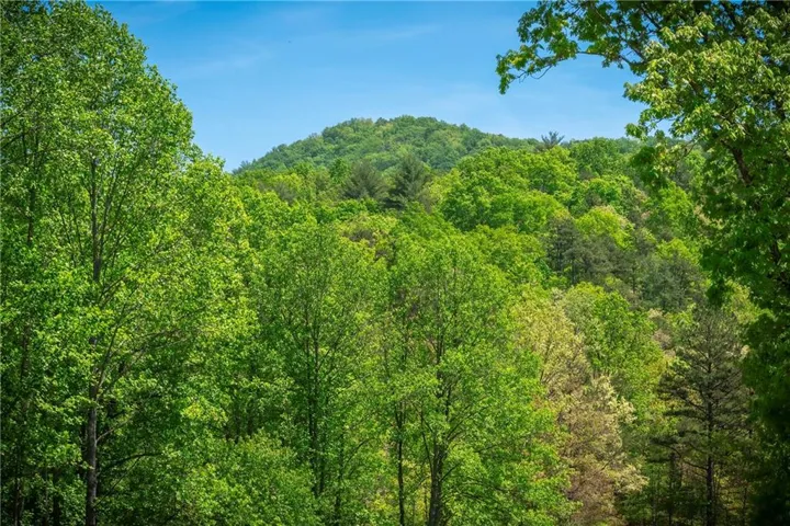 Lt4-4a Jonica Gap Road, Mineral Bluff, Georgia 30559
