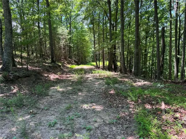 1450 Hanna Drive, Ranger, Georgia 30734