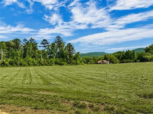 118 Palisade Drive, Rydal, Georgia 30171