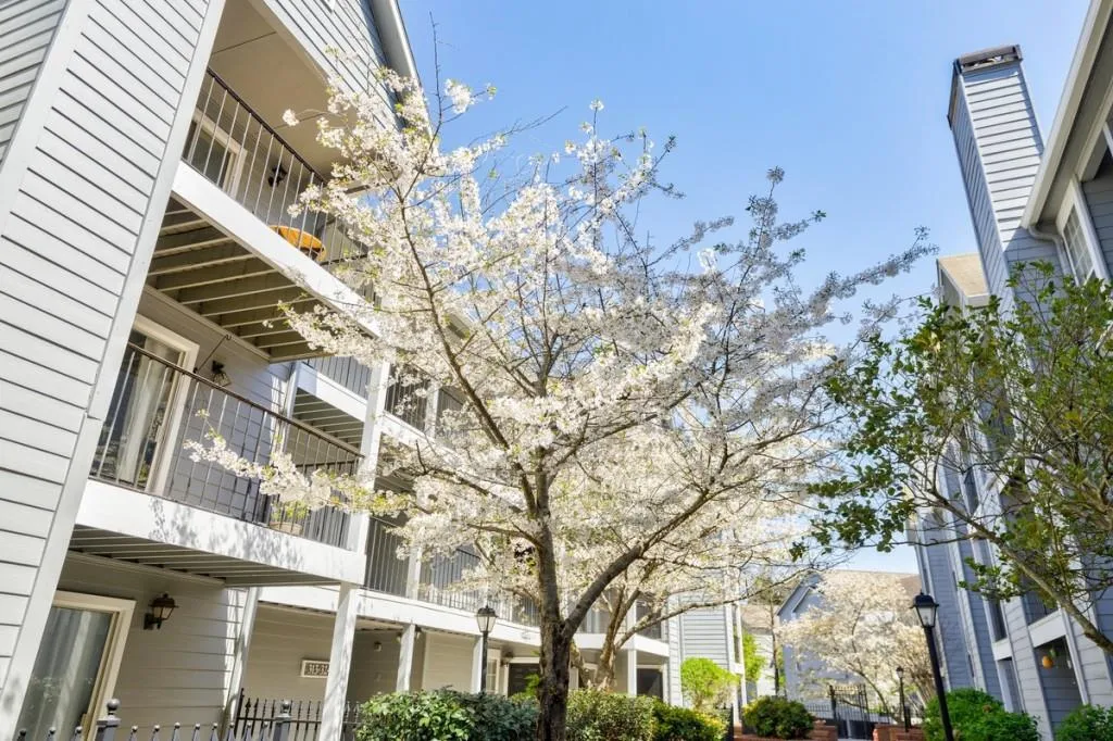 436 Granville Court Unit 436, Sandy Springs, Georgia 30328, 2 Bedrooms Bedrooms, ,2 BathroomsBathrooms,Residential,Sold,436 Granville Court Unit 436,7192829