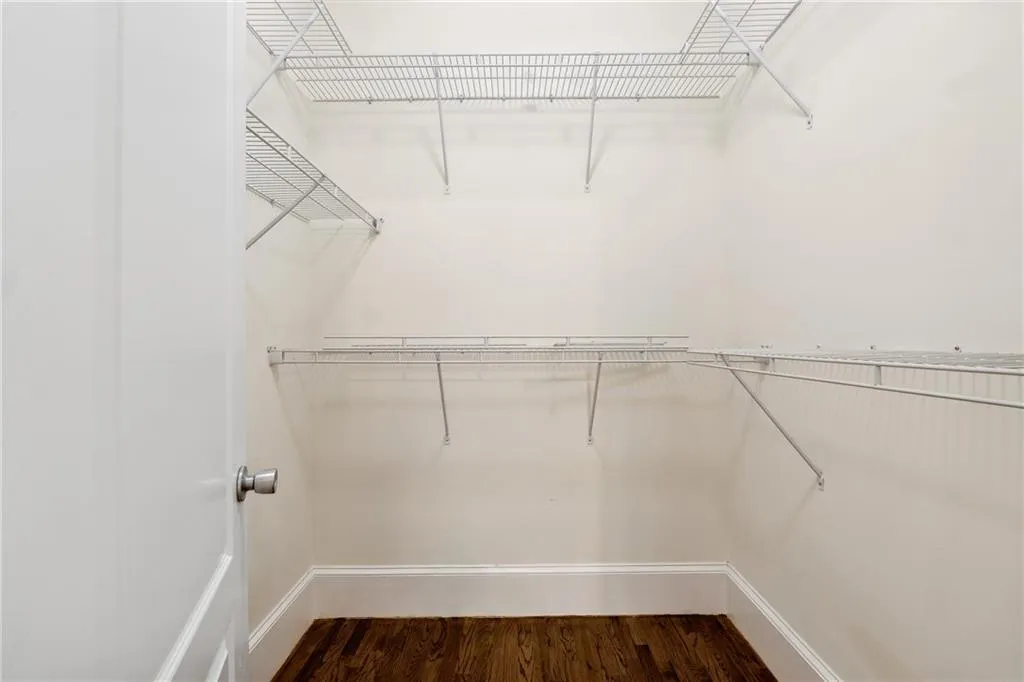Spacious closet with wood-type flooring