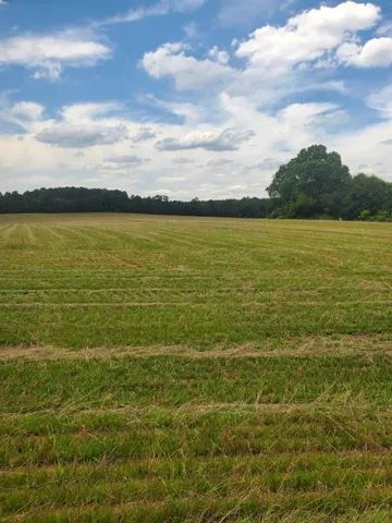 0 Taylorsville Macedonia / Miller Farm Rd. Road, Taylorsville, Georgia 30178