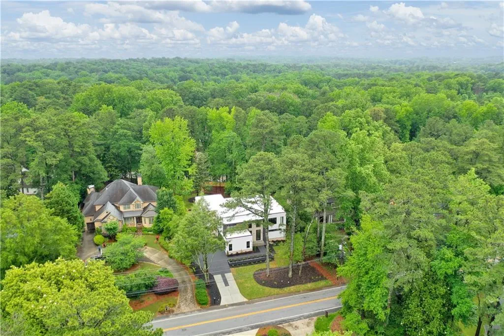 Bird's eye view of a forest
