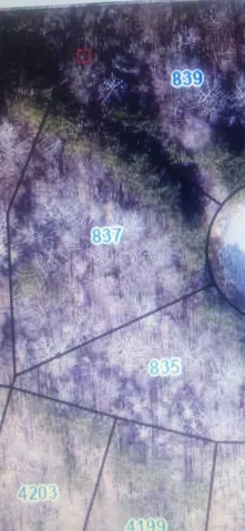 1170