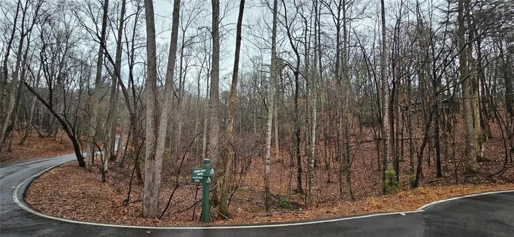 52 Fallen Deer Path, Jasper, Georgia 30143