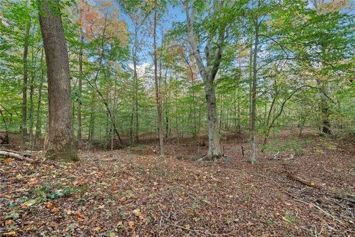 0 Ammons Drive, Waleska, Georgia 30183