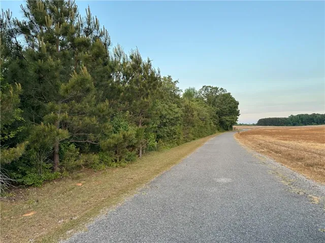 Lot 8 County Road 520, Centre, Alabama 35960