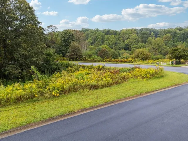 View of asphalt street featuring a forest view