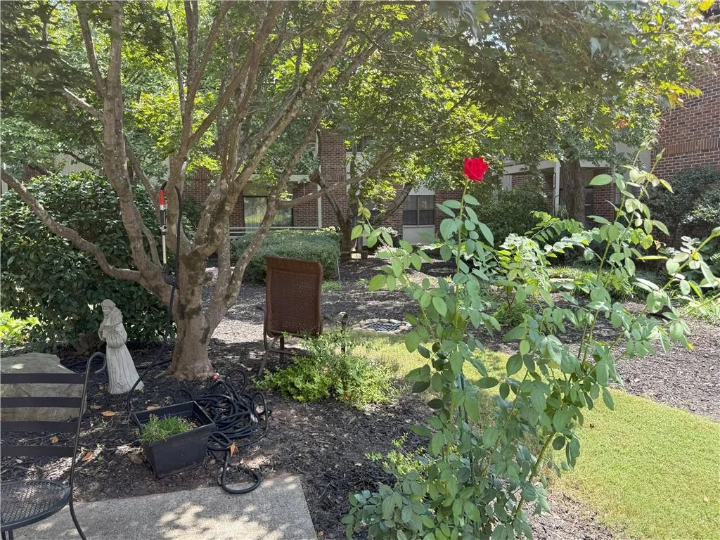 Community outdoor area