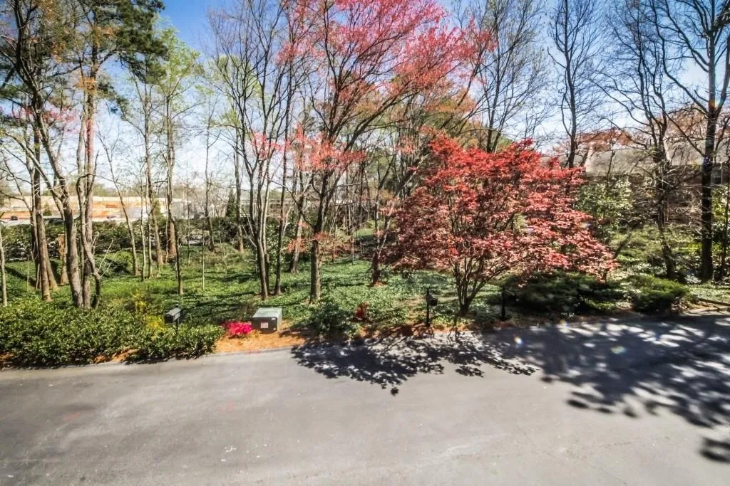 223 The South Chace, Sandy Springs, Georgia 30328, 3 Bedrooms Bedrooms, ,2 BathroomsBathrooms,Residential,Sold,223 The South Chace,6523974