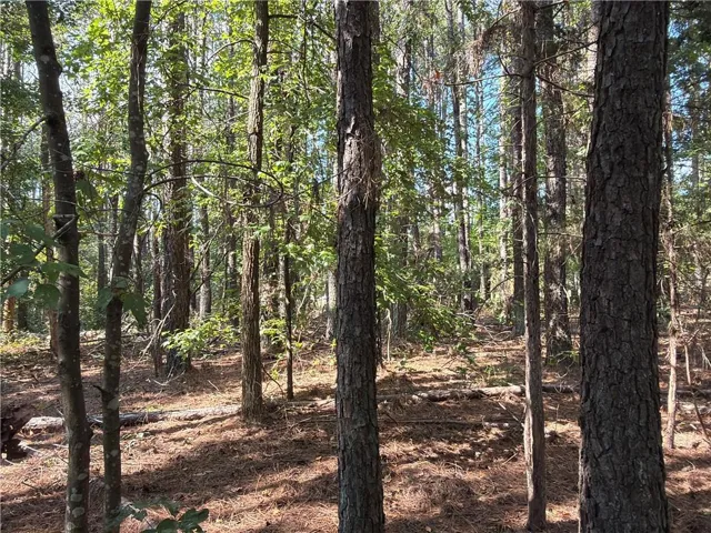 107 Popham Road, Taylorsville, Georgia 30178
