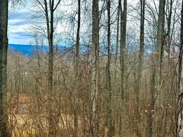 Lot 7 Rocky Knob Drive, Young Harris, Georgia 30582