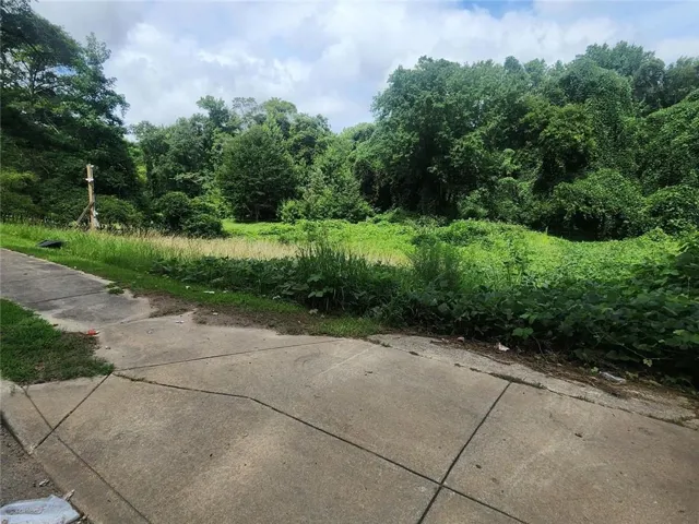 2233 Macon Drive Sw, Atlanta, Georgia 30315