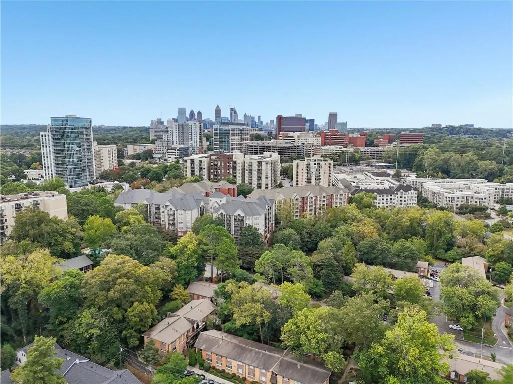 Bird's eye view of skyline and a tree filled landscape