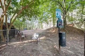 Dog Park