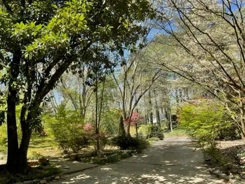 9885 Huntcliff Trace, Sandy Springs, Georgia 30350, 5 Bedrooms Bedrooms, ,3 BathroomsBathrooms,Residential,Sold,9885 Huntcliff Trace,7033451