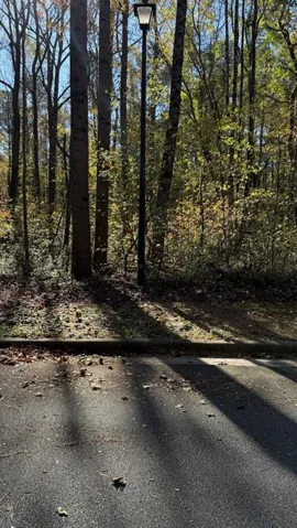 View of road