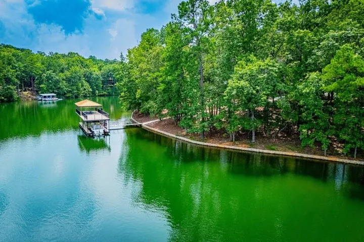 741 Firefly Lane, Lineville, Alabama 36266