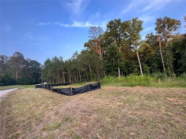 2524 Stream View Drive, Conyers, Georgia 30013