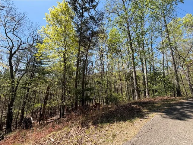 812 Horse Cove Court, Jasper, Georgia 30143