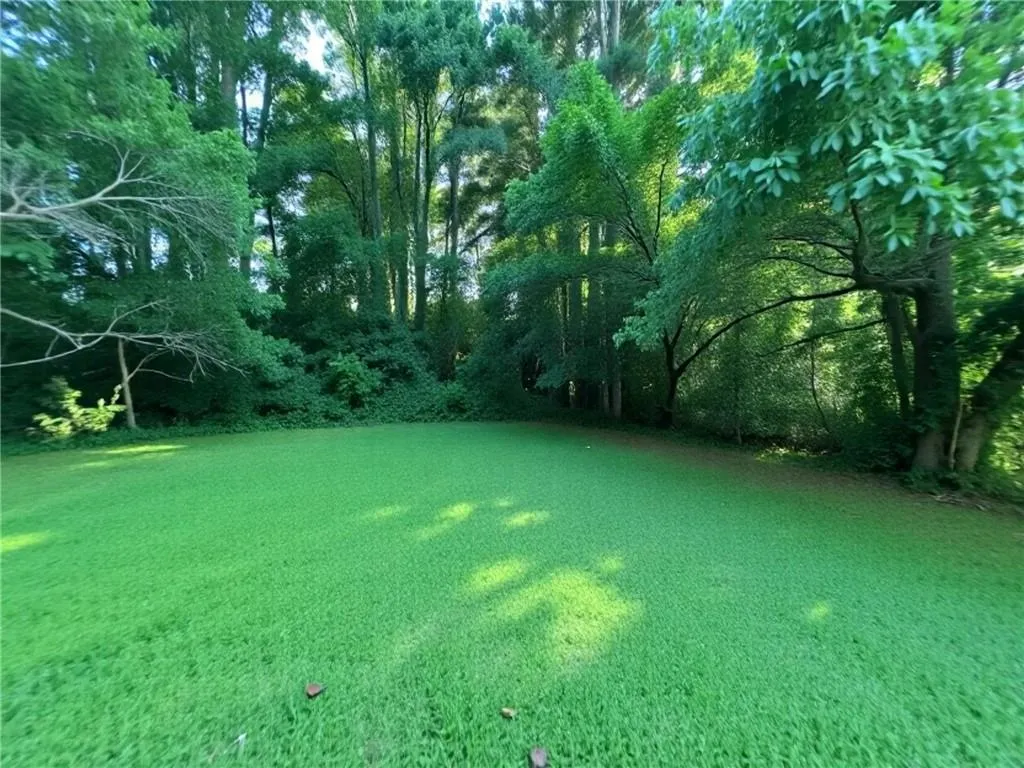View of grassy yard
