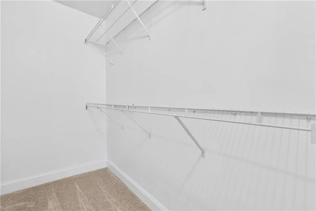 Spacious closet featuring carpet floors