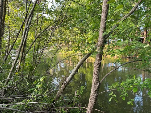 Lot 6 County Road 520, Centre, Alabama 35960